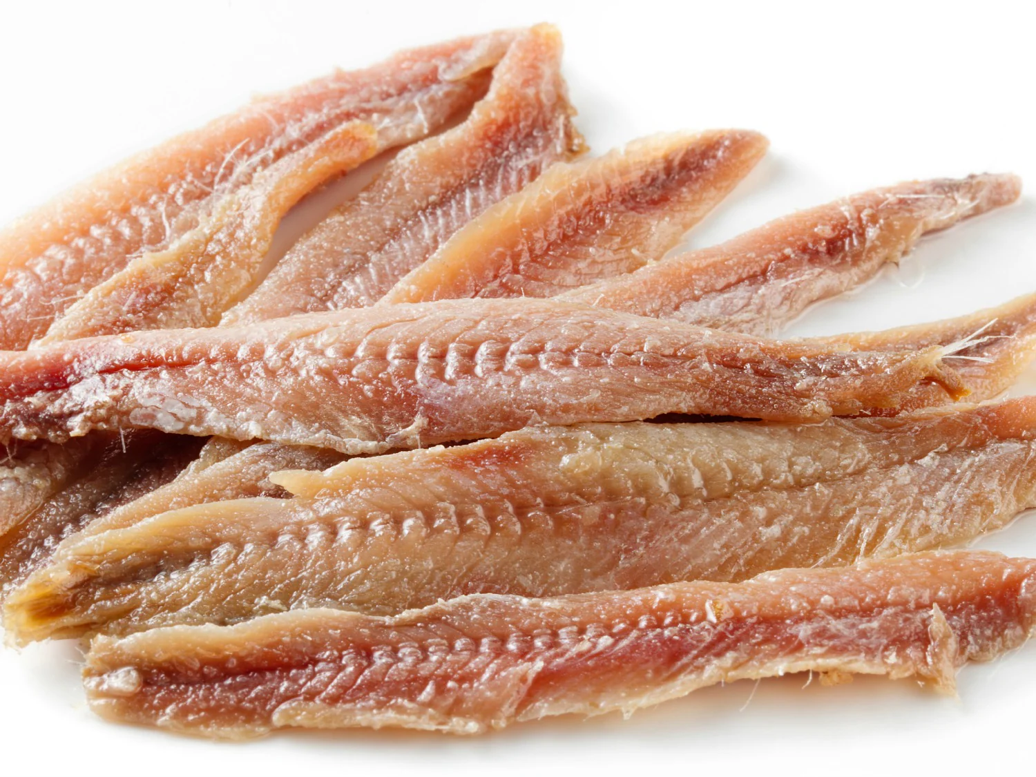 Anchovies, Flat Fillets in Soy Oil (Martel) 28oz (793g) - Image 2