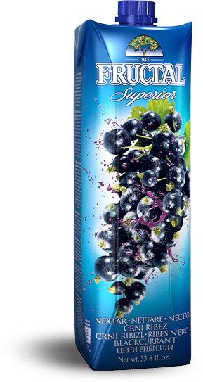 Black Currant Nectar (fructal) 1L