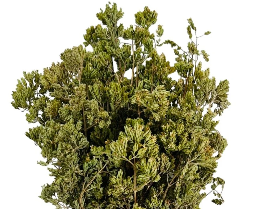 Greek Oregano Bunches, 60g - Image 2