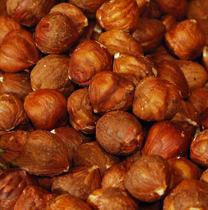 Hazelnuts, Raw Filberts, Whole, Shelled (JLM) 9 oz - Image 2