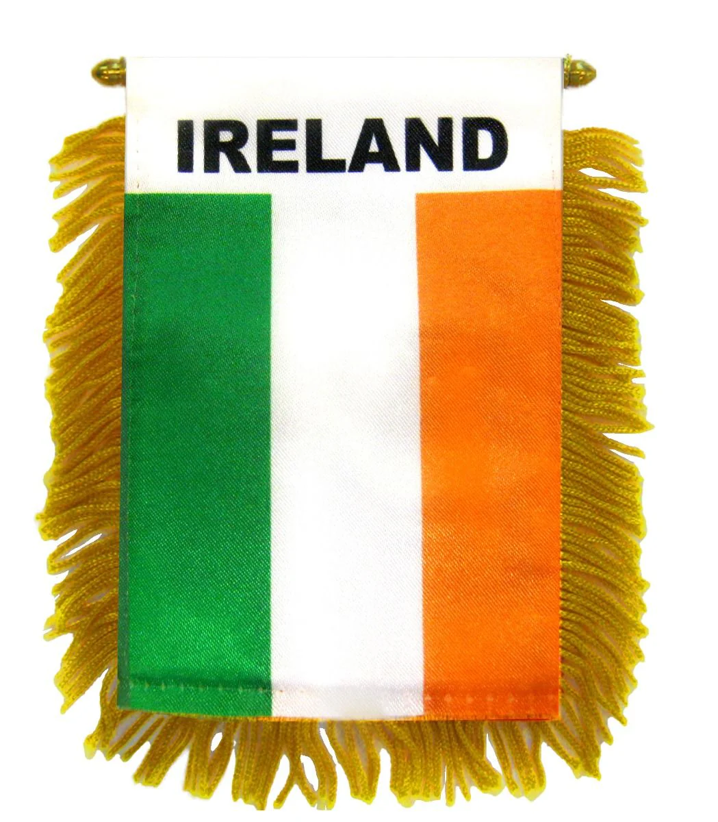 Ireland Flag with String and Suction Cup, 4x6 in.