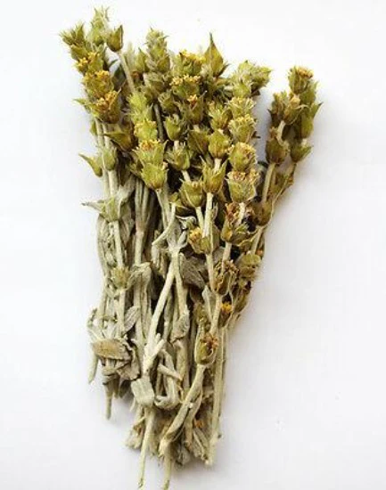 Mountain Tea on Stem, Greek (Mt. Taygetos) 40g (1.41 oz) - Image 2