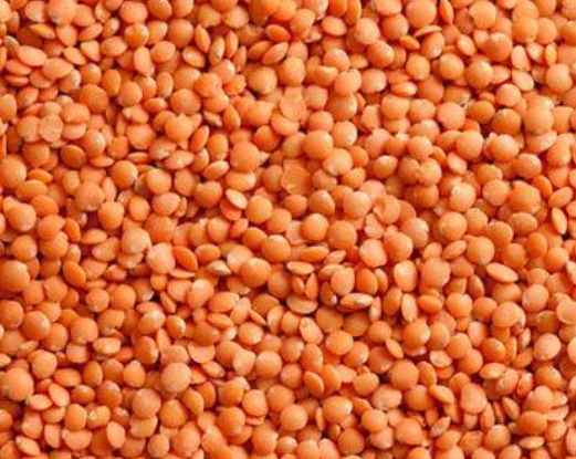 Red Lentils, 32 oz