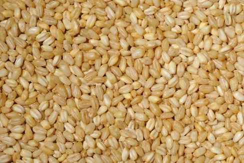 Shelled Wheat, 16 oz or Deli Pack