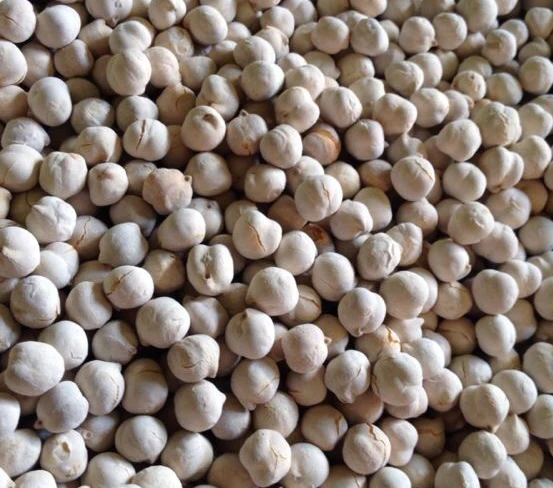 White Roasted Chick Peas (Free Time) 16 oz - Image 2