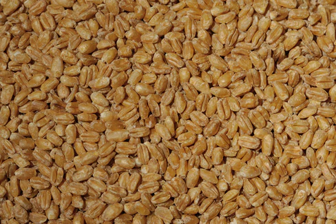 Whole Wheat, 16 oz (1 lb) bag